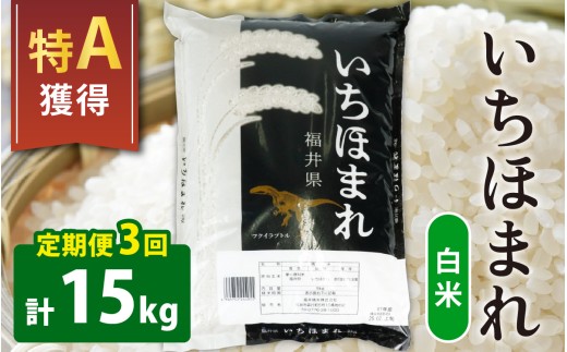 【3ヶ月定期便】【令和7年産】【福井のブランド米】【特A獲得】いちほまれ 白米 5kg × 1袋 ×3回（合計15kg）