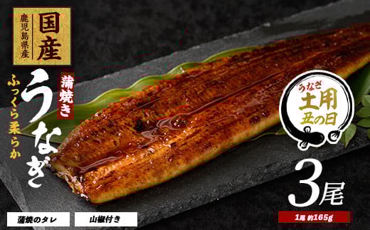 
            【丑の日に合わせてお届け！】鹿児島県産うなぎ蒲焼じっくり焼き約165g×3尾(大新/023-1105u) 【2025年7月9日～7月19日お届け】 うなぎ 国産 鹿児島 蒲焼 丑の日 丑 土用丑の日 
          