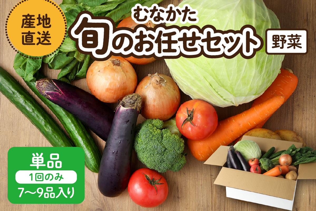 むなかた旬のお任せセット(野菜) 7～9品【JAほたるの里】_AS1569-00