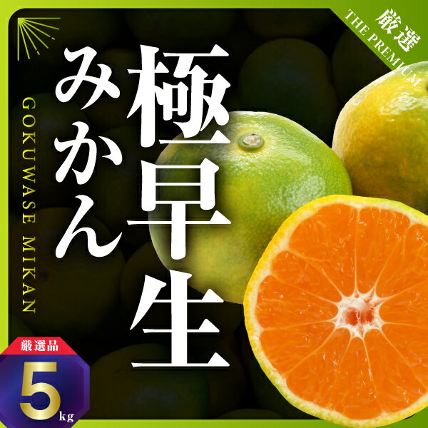 【ふるさと納税】まもなく収穫! 極早生みかん 5kg【C31-15】_ みかん ミカン 柑橘 フルーツ 果物 くだもの 青果 極早生 産地直送 産直 農家直送 5kg 【1042517】 YWTAC007