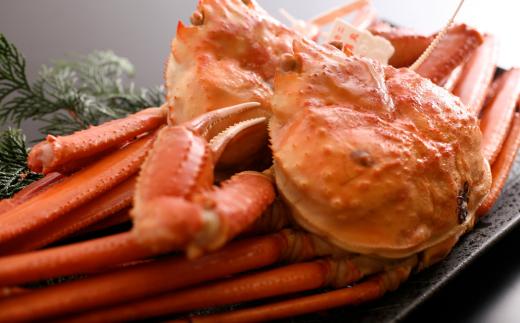 【本場香住漁港であがった！香住ガニセット4匹入り 三七十特製カニ味噌1本付き 冷蔵/冷凍】カニの本場 香住産 厳選 茹で香住ガニ姿4杯入り 鮮度抜群 水揚げされたばかりの香住ガニを熟練の職人が釜茹でし