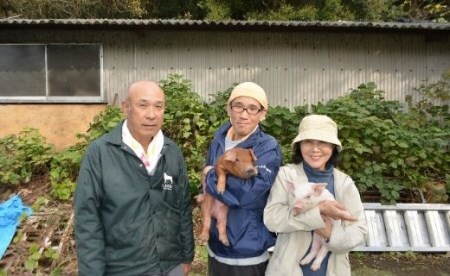 【高知県 大月町産ブランド豚】力豚　豚コマ5.6kg