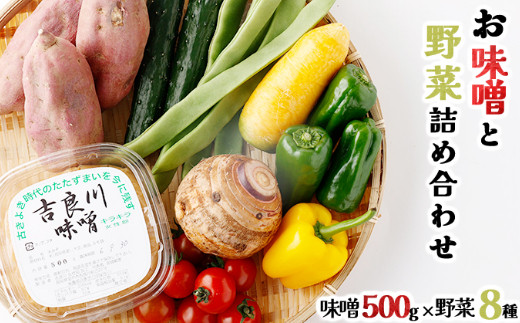 
                  お味噌 (500g) 野菜 (8品) セット 詰め合わせ 旬 おまかせ 新鮮 やさい 味噌 みそ 吉良川みそ 調味料 高知県 室戸市 5000円
                