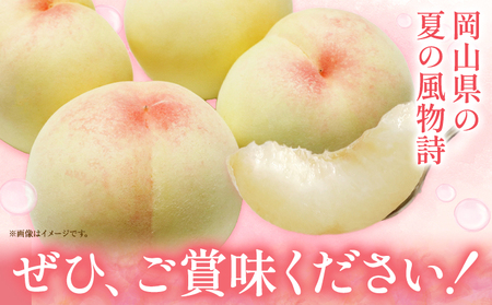 ご家庭用 おかやまの桃 約1.8kg　白桃