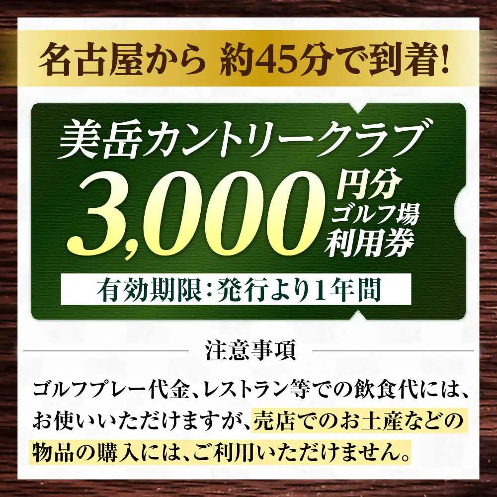 美岳カントリークラブ 3,000円分 [AVAM001] ゴルフ 利用券 岐阜県 東海 ゴルフ場