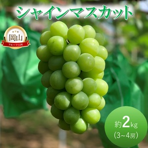 早期受付 ぶどう シャインマスカット約2kg（3～4房） 岡山県高梁市産 岩原農園 葡萄 ブドウ