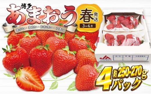 【先行予約】M869-1【2026年3月上旬より順次発送】博多あまおう 250g~270g×4パック