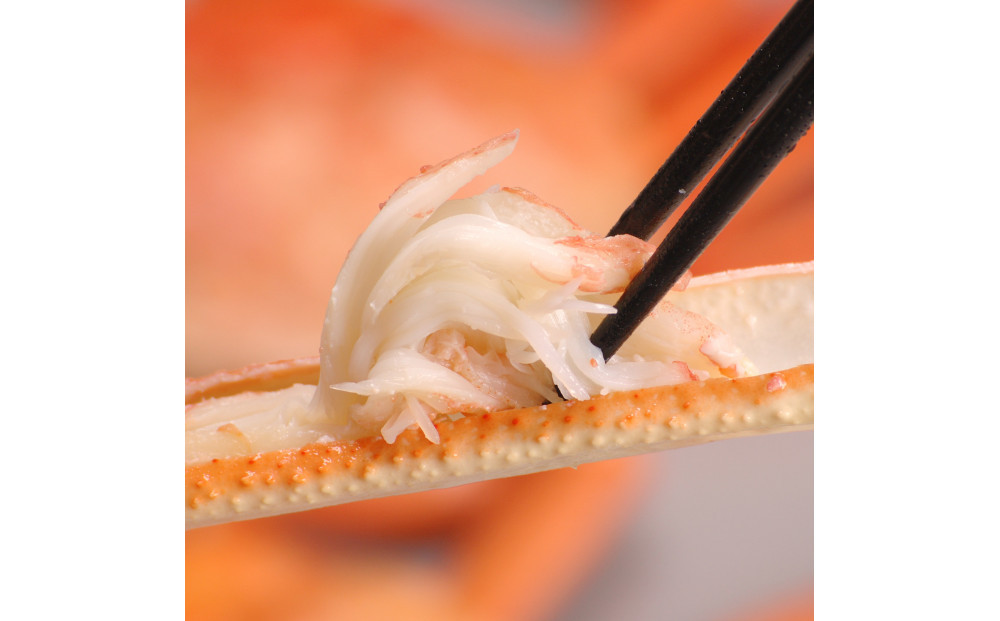 境港産松葉がにボイル姿タグ付き　計1kg（中サイズ2枚）