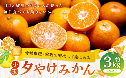 【 家族でたっぷり楽しめる、愛媛の小粒みかん 】 夕やけみかん （ 小玉 ） 約3kg みかん ミカン 柑橘 柑橘系 柑橘類 くだもの 果物 フルーツ 果実 果汁 果肉 国産 愛媛県産 【 2026年10月下旬-2027年1月下旬発送予定 】 ( 1106 )