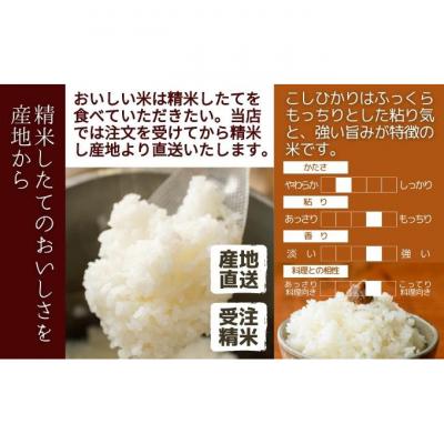ふるさと納税 新潟市 堆肥で育てた 新潟産 こしひかり 5kg [54070806] |  | 03