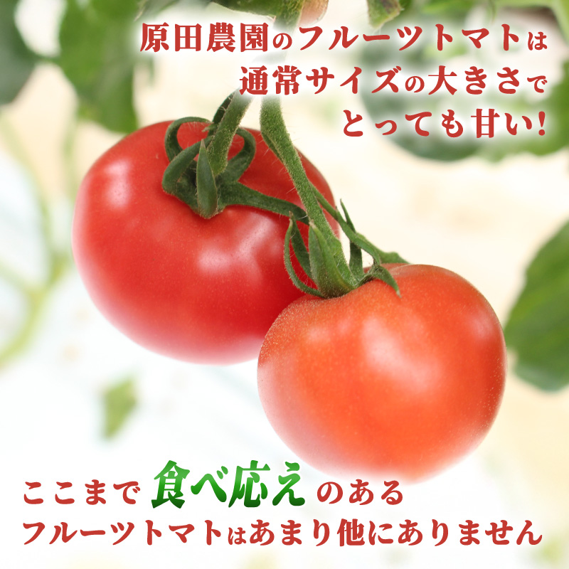 【a013】フルーツトマト糖九郎（Mサイズ）1kg箱15玉満杯詰め　2026年3月〜5月発送分