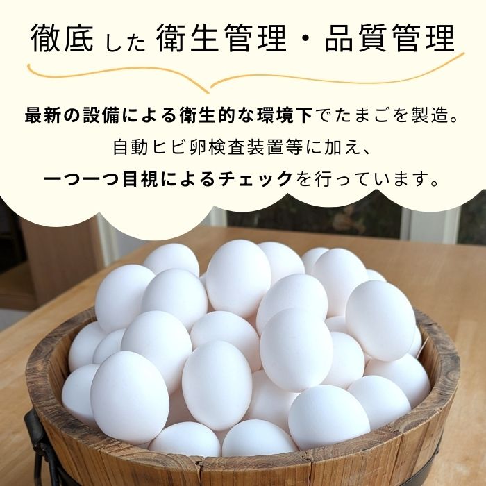 【定期便3回】九十九里ファームこだわりたまご贈答用30個〜あおい海・みどりの里〜《白玉》 ／ たまご 卵 玉子 タマゴ 生卵 鶏卵 30個 定期便