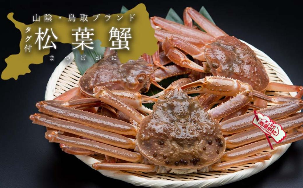 
            【活き】タグ付き松葉ガニ　大　1枚(800～940g前後)
          