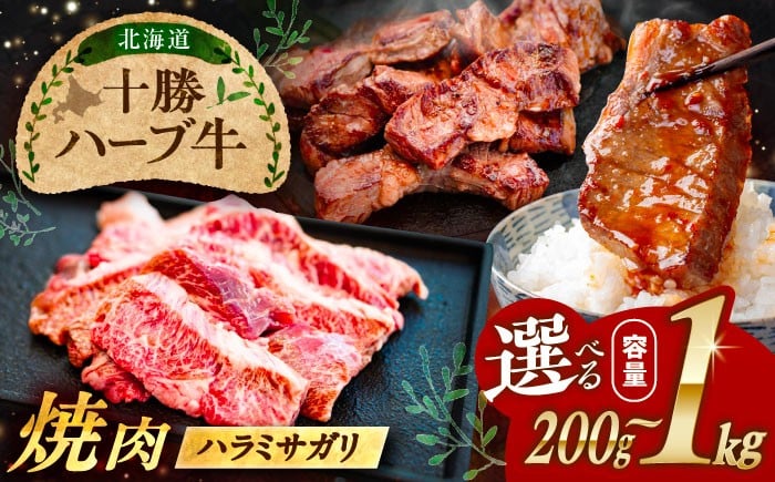 
            【選べる容量】北海道 十勝 ハーブ牛 ハラミ サガリ 焼肉 200g～1kg 《足寄町》【株式会社ノベルズ食品】 [BEAQ022] 牛肉 牛 肉 にく ニク ハラミサガリ さがり はらみ 焼肉 焼肉用 焼き肉  15000 15000円
          