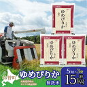 【ふるさと納税】【令和6年産 新米】（無洗米15kg）ホクレンゆめぴりか（無洗米5kg×3袋） 【 ふるさと納税 人気 おすすめ ランキング 北海道産 壮瞥 無洗米 米 白米 ゆめぴりか こめ 贈り物 贈物 贈答 詰合せ セット 北海道 壮瞥町 送料無料 】 SBTD065