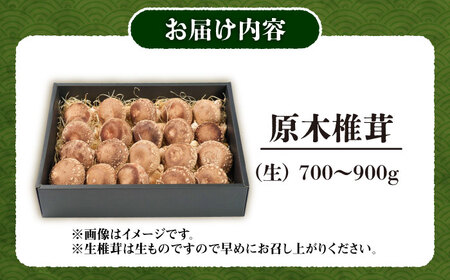 原木 生しいたけ 700g~900g | 合同会社カルシ [BNAU002]