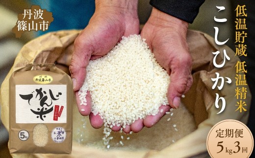 【定期便3回】令和7年産 丹波篠山市 コシヒカリ でかんしょ米 5kg×3回 低温貯蔵 香り豊か 旨み抜群 お米 こめ コメ 兵庫県