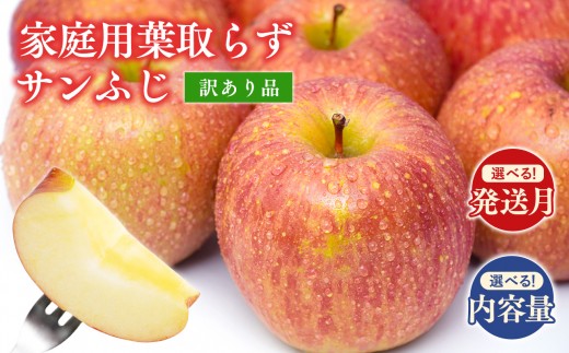 
                  ≪発送月と内容量が選べる≫ 青森県産訳あり 家庭用葉取らずサンふじりんご 【 青森県 平川市 森山商店 】 糖度 13度以上 青森県産 青森りんご 林檎 リンゴ りんご サンふじ ふじ 葉取らずサンふじ 光センサー 選果 
                