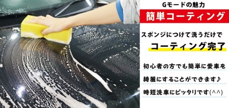 R14133　シャンプー&コーティング剤「Gモード」1,000ｍｌ＆250mlセット