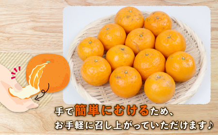 ポンカン 9kg みかん 家庭用 植村農園 ﾎﾟﾝｶﾝ ﾎﾟﾝｶﾝ ﾎﾟﾝｶﾝ B010-153005