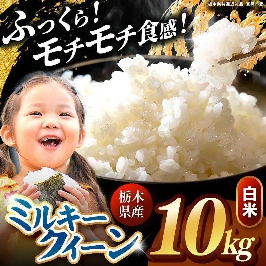 栃木県産 ミルキークイーン 白米 10kg 2026年  新米 | 栃木県 矢板市