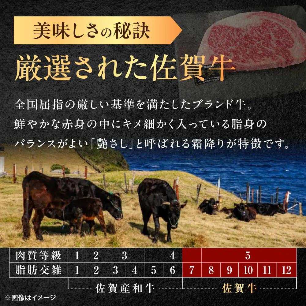 【12回定期便】佐賀牛 サーロインステーキ 500g /MKミート武雄[UEM023] サーロイン