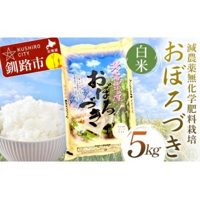ふるさと納税 釧路市 減農薬9割減 ・ 化学肥料不使用おぼろづき 5kg 白米 北海道産 米 F4F-7513