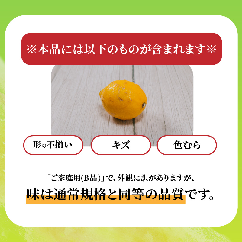 【2026年9月下旬頃から順次発送】家庭用 グリーンレモン 約2.5kg 防腐剤 ワックス 不使用｜ 訳あり レモン 檸檬 完熟 柑橘 酸味 国産 愛媛県産 訳あり 新鮮 愛媛 松山