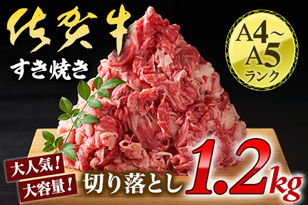 艶さし！佐賀牛切り落とし　1.2kg(600ｇ×2ｐ） J1052