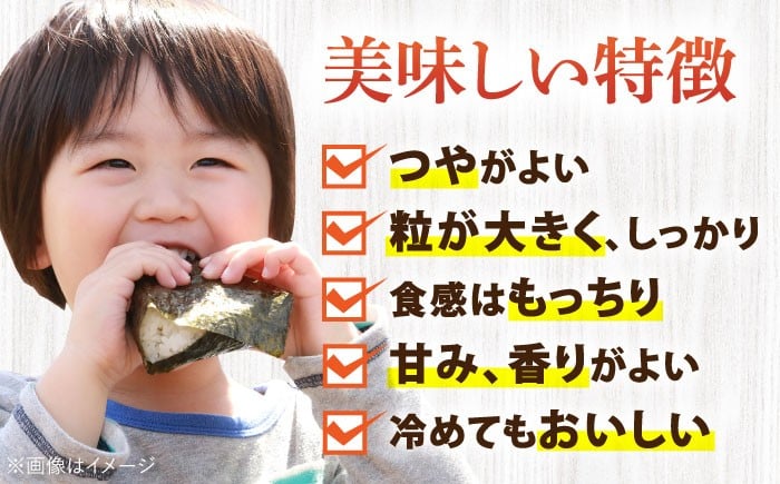 【3回定期便】さがびより 白米 10kg＜15年連続特A評価＞ 配送前精米/江口農園[UB