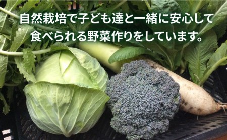 糸島で農業体験(3名) 栽培期間中農薬不使用 無化学肥料 無除草剤の畑で野菜のお世話体験！[AAL003]