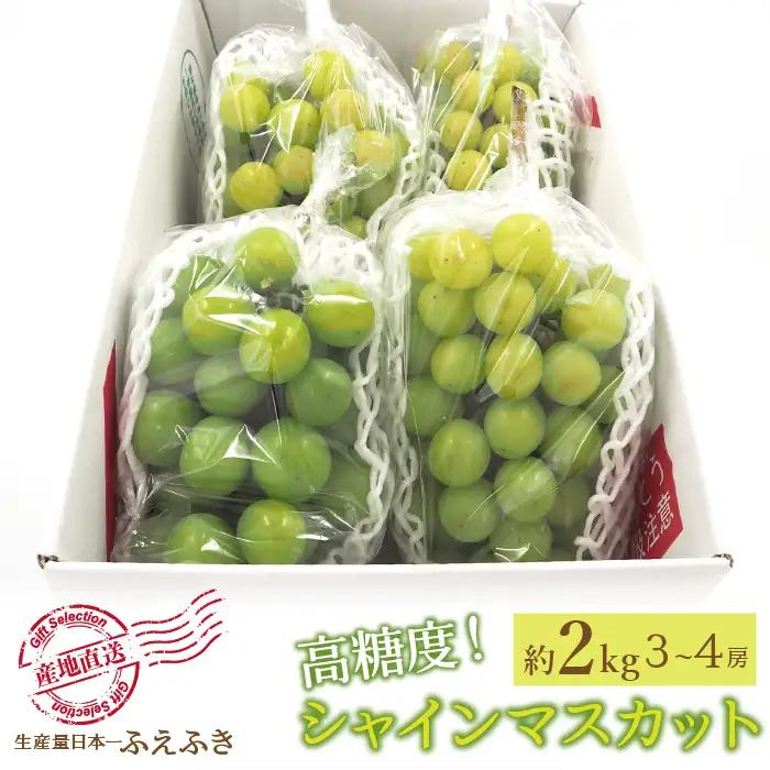 【2026年発送★先行予約】厳選！山梨県笛吹市産 シャインマスカット 約2.0kg（3～4房） 156-001-26y
