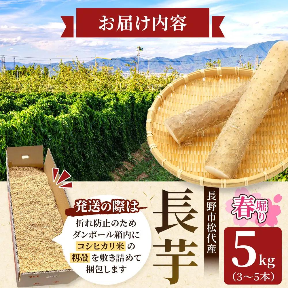 熊原果樹園　長芋（春堀り）5kg | 長いも 春堀り シャキシャキ 粘り