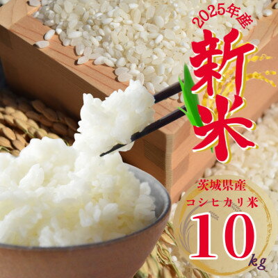 【ふるさと納税】2025年新米 茨城県産コシヒカリ 精米 計10kg【1638273】