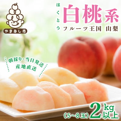 
            2025年先行受付 山梨県産 桃 白桃系 2kg以上(5～8玉) フルーツ王国・山梨から産地直送【1137262】
          
