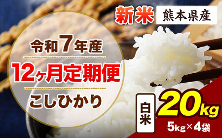 【12ヶ月定期便】令和7年産 定期便 こしひかり 新米 20kg 白米 阿蘇 うぶやま 米 定期便 熊本県産 ふるさと納税 精米 ひの 米 こめ ふるさとのうぜい コシヒカリ コメ お米 おこめ《お申込み翌月から出荷》