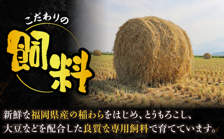博多和牛 ハンバーグ140g×5個入り [VET011]牛肉 肉 おすすめ 人気