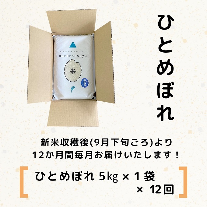 【令和5年産新米予約】【無洗米】<12ヵ月定期便>ひとめぼれ5kg×12回 計60kg