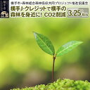 【ふるさと納税】横手J‐クレジットで横手の森林を身近に! CO2削減 3.25t相当