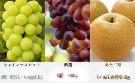 桃 ぶどう 梨 定期便 2027年 先行予約 晴れの国 岡山 の フルーツ 定期便 6回コース もも 葡萄 なし 岡山県産 国産 セット ギフト 白桃 ニューピオーネ シャインマスカット 晴王 紫苑 