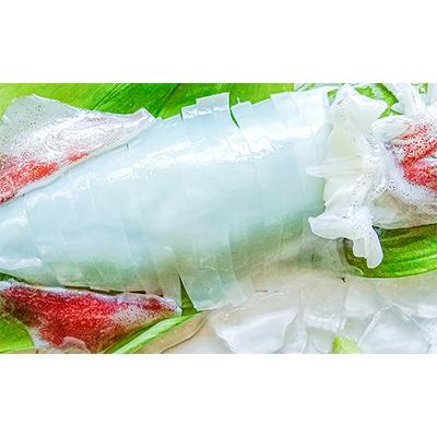 ふるさと納税 宮津市 朝どれ白いか 1kg (中サイズ 3〜6杯) 【京都産　刺身OK】