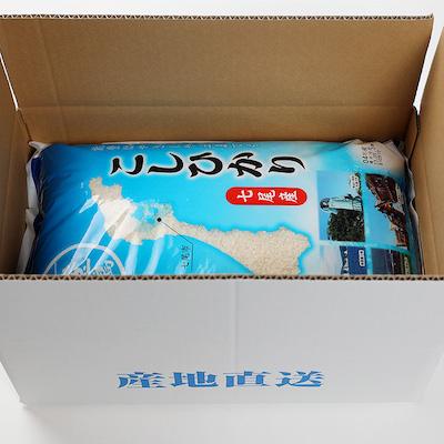 ふるさと納税 七尾市 【令和7年産】七尾産こしひかり10kg(精米5kg×2袋) |  | 03