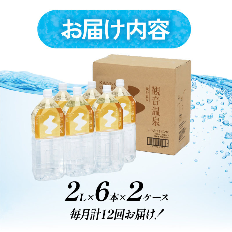 飲む温泉　観音温泉　２L　(６本入)　２ケース　定期便　１年間　毎月
