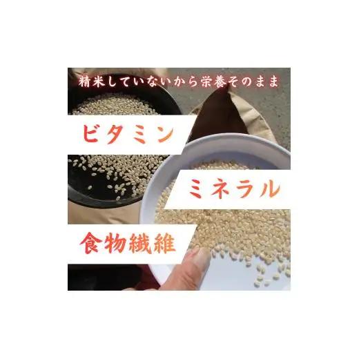 利根町産　コシヒカリ　玄米　10kg ／ 米 こめ コメ お米 おこめ コシヒカリ こしひかり 令和7年産 玄米 ごはん ご飯 10kg 健康志向 茨城県 利根町 産地直送 送料無料