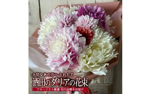とれたて「酒田のダリアの花束」 SL0213