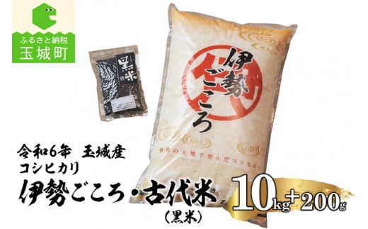 令和6年玉城産コシヒカリ「伊勢ごころ」10kgと古代米(黒米)セット