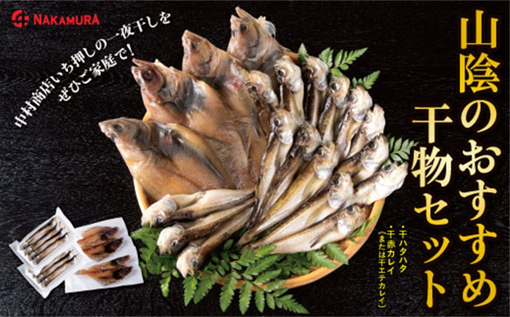 山陰のおすすめ干物セット【中村商店】 312011_AC007