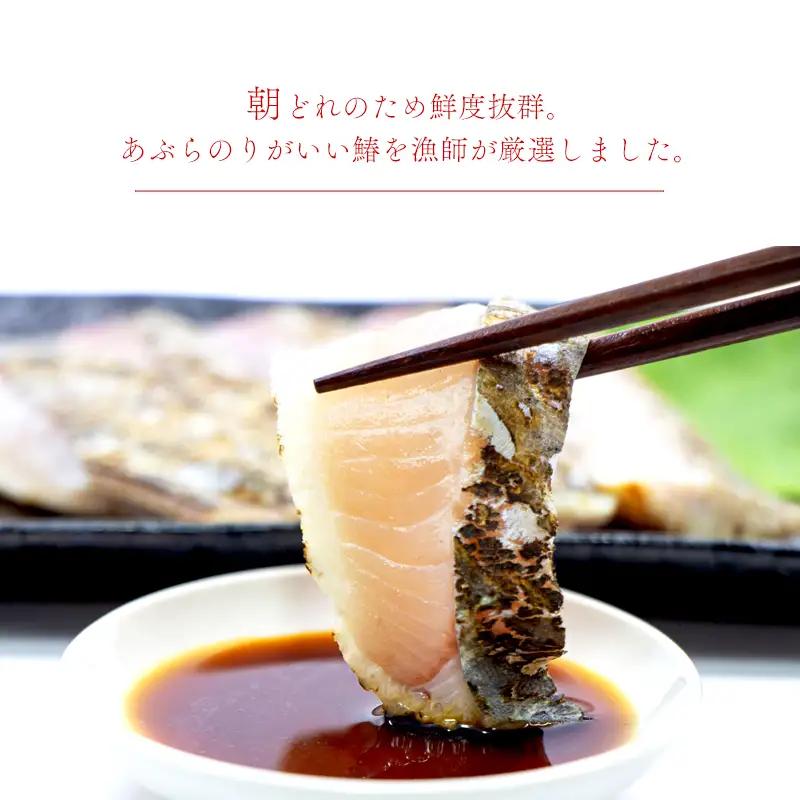 漁連直送！！ 京鰆 1.5kg以上 一尾 ： 鮮魚 寒さわら