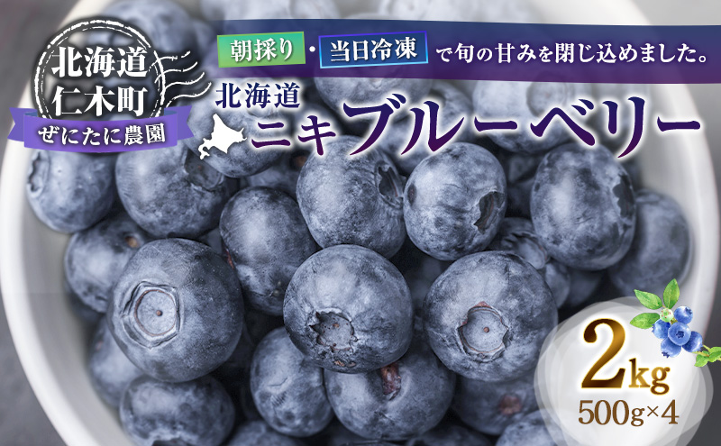 【朝採り】収穫当日冷凍「北海道ニキブルーベリー」2kg（500g×4）サイズ混載 果物 くだもの 冷凍 フルーツ ブルーベリー 北海道 仁木［ぜにたに農園］