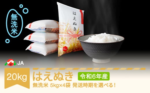 新米 米 20kg 5kg×4 はえぬき 無洗米 令和6年産 2024年11月下旬 ja-hamxb20-11c